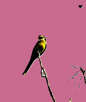 Cinematic Instrumental Music - Soundtracks & Scores | Playlist