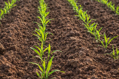 Deep Focus Music for Work & Study - Concentration Flow | Playlist